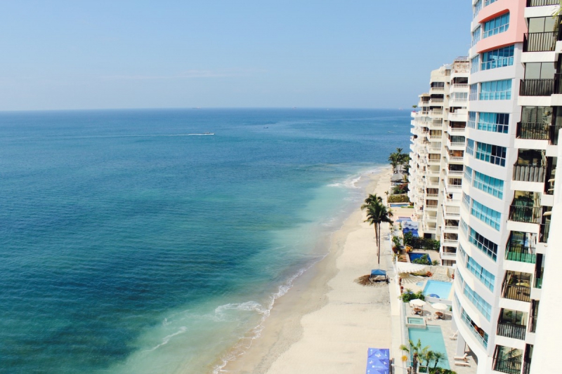 chambre-hote-SANARY SUR MER-min_beach_ocean_shore_hotel_palm_tree-33726